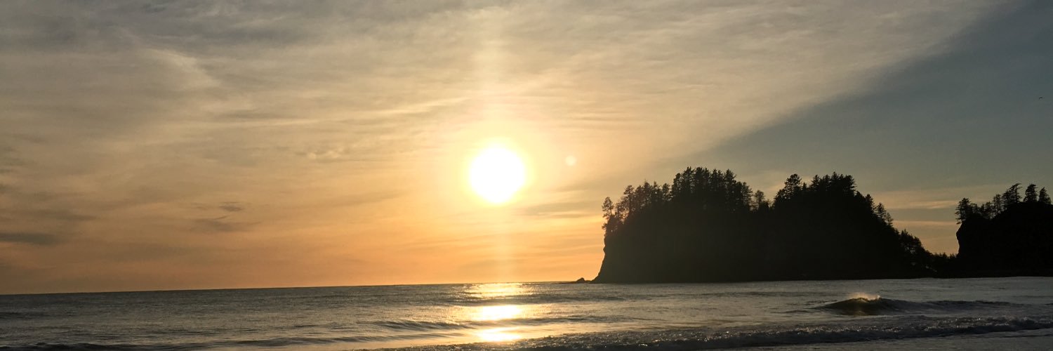 loribush115's profile banner image