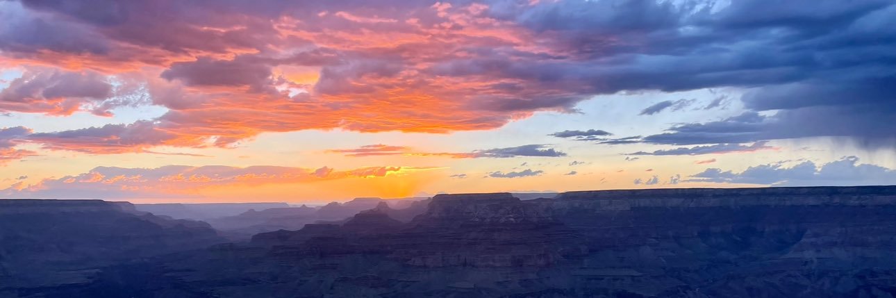 addie_c's profile banner image