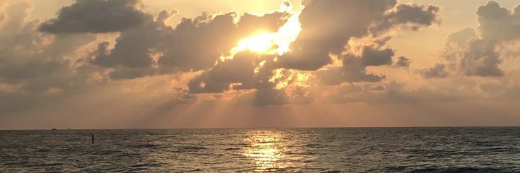 nojoudhadidi's profile banner image