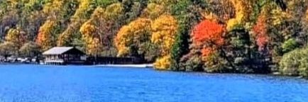 Michaelee's Italian Life Caffe banner