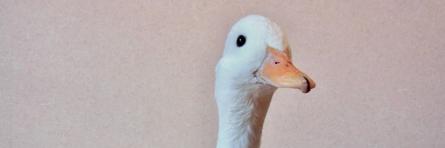 多摩川青春スペース banner