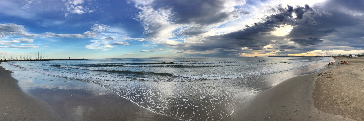 Alexandre P-M 🐀 banner