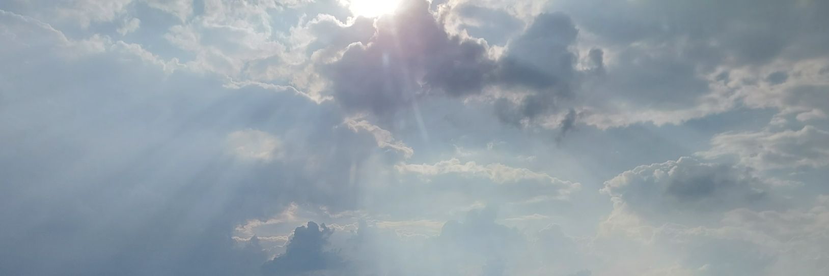 Sid_2D's profile banner image