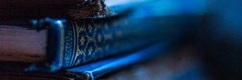 zofiaharbor's profile banner image