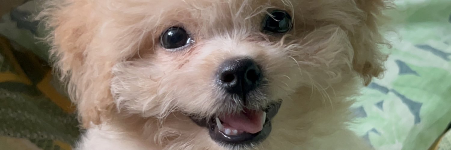 znicoollee's profile banner image