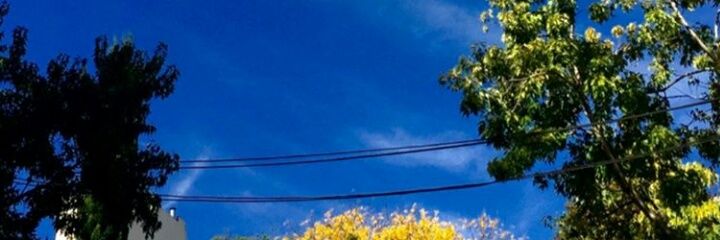 robertentanga's profile banner image