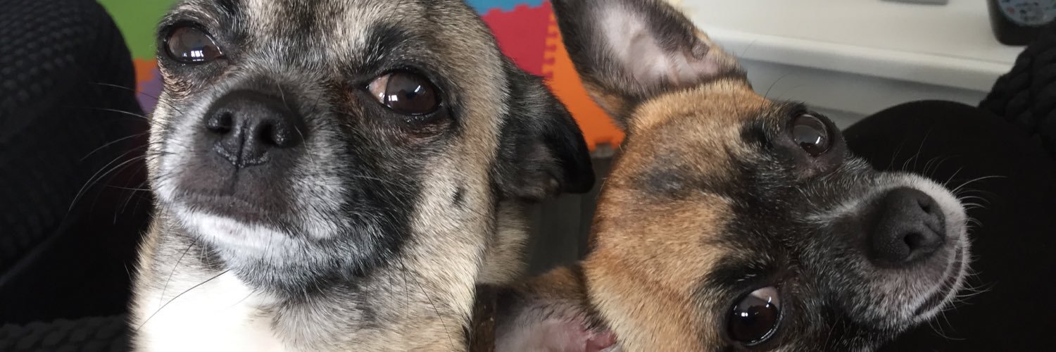 PepperDolly_Chi's profile banner image
