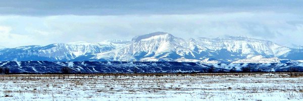 Flintrass Profile Banner