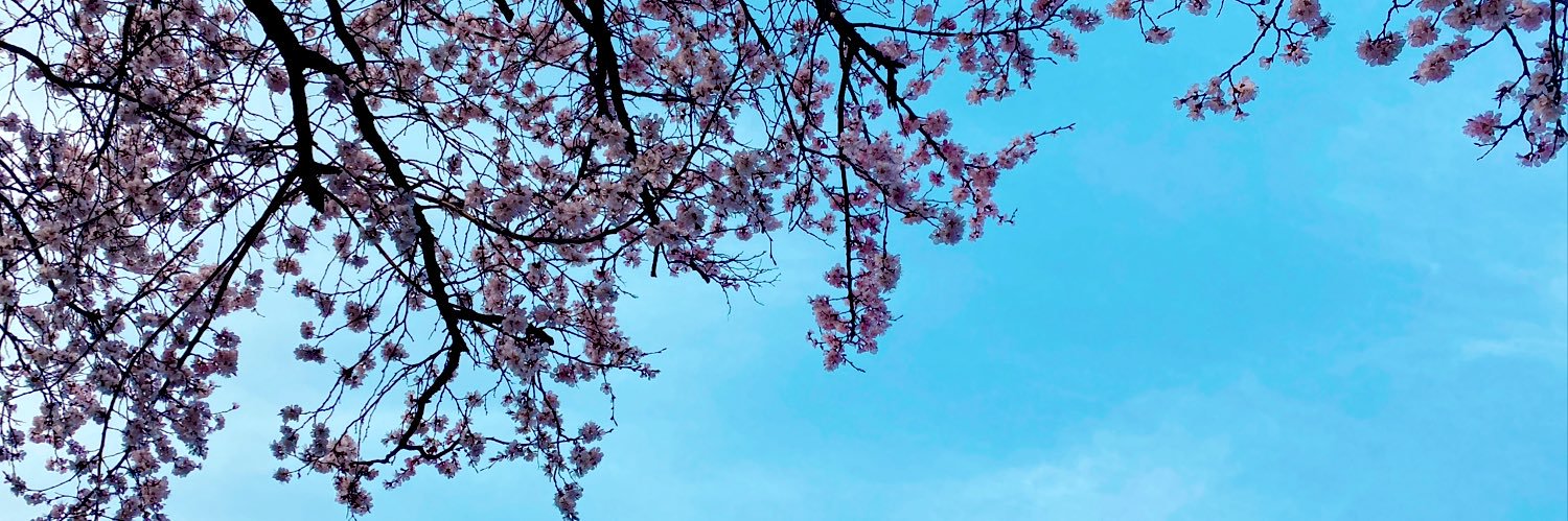 deepaffection4's profile banner image