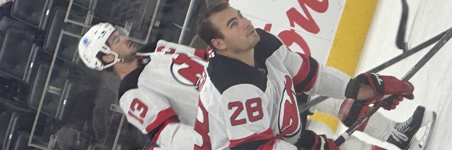 DevilishPanda13's profile banner image