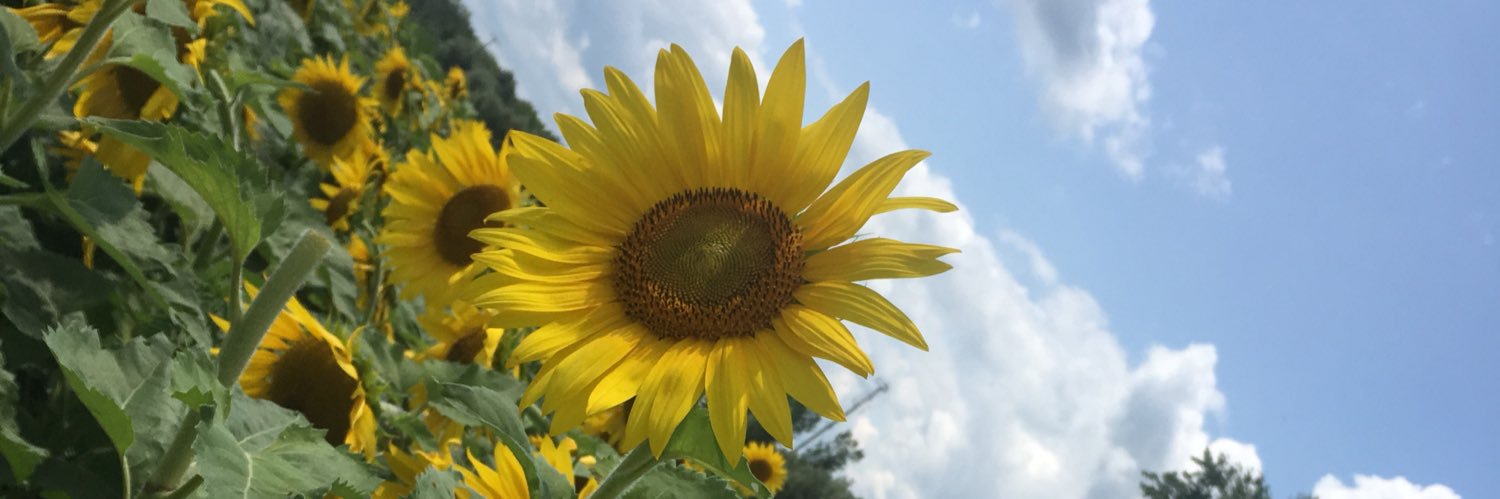 jesscomeau's profile banner image