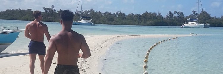 BairdTheTreb's profile banner image