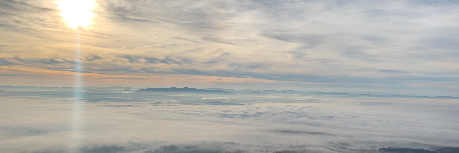 TommyPikcles's profile banner image