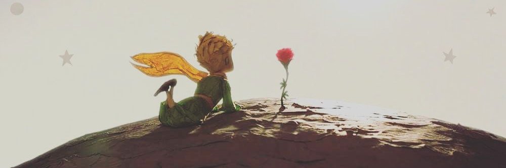 nihrmedeiros's profile banner image