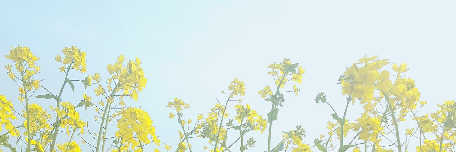 HolicLim's profile banner image