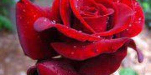 deboy_aja's profile banner image