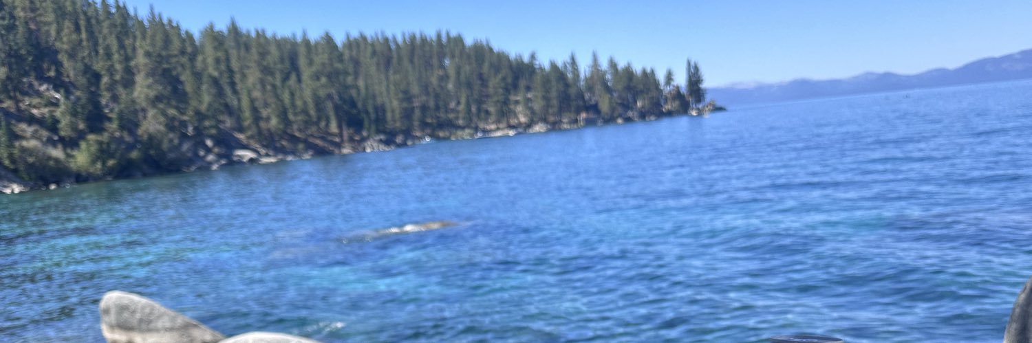 dipper_flo's profile banner image