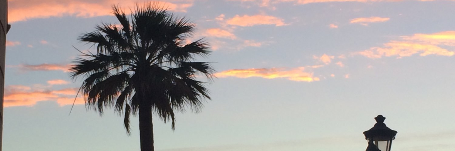 RambligRoo's profile banner image