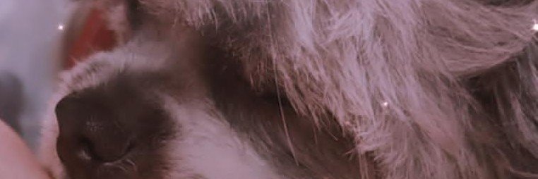 EspantoCate's profile banner image