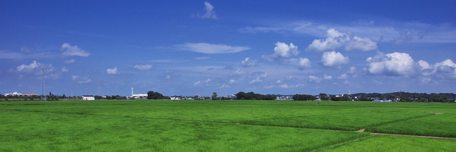 techwinginfo's profile banner image
