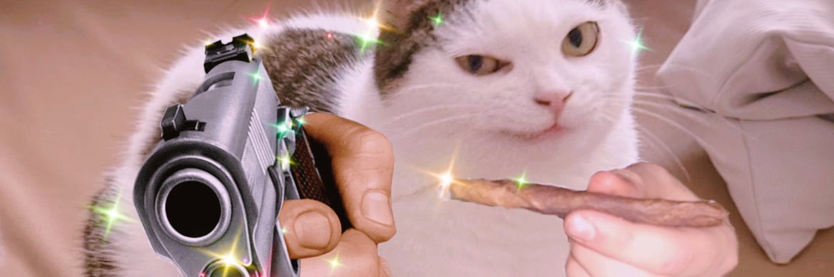 solangel_00's profile banner image
