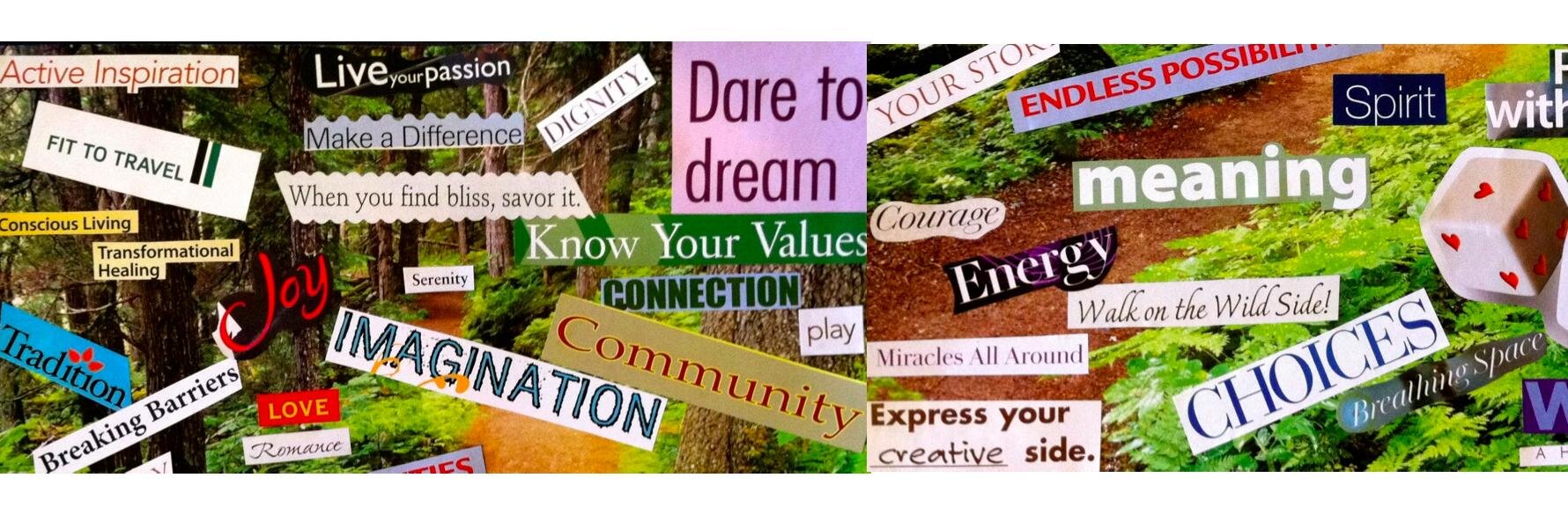 Dr. Stacey Zackin banner