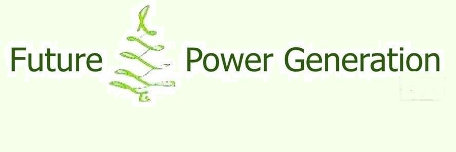 Future Power Generation LLC banner