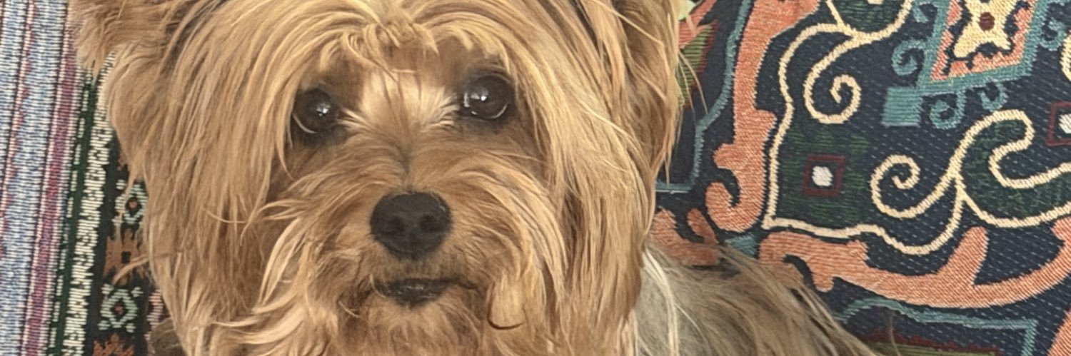 jesusoctavioGT's profile banner image