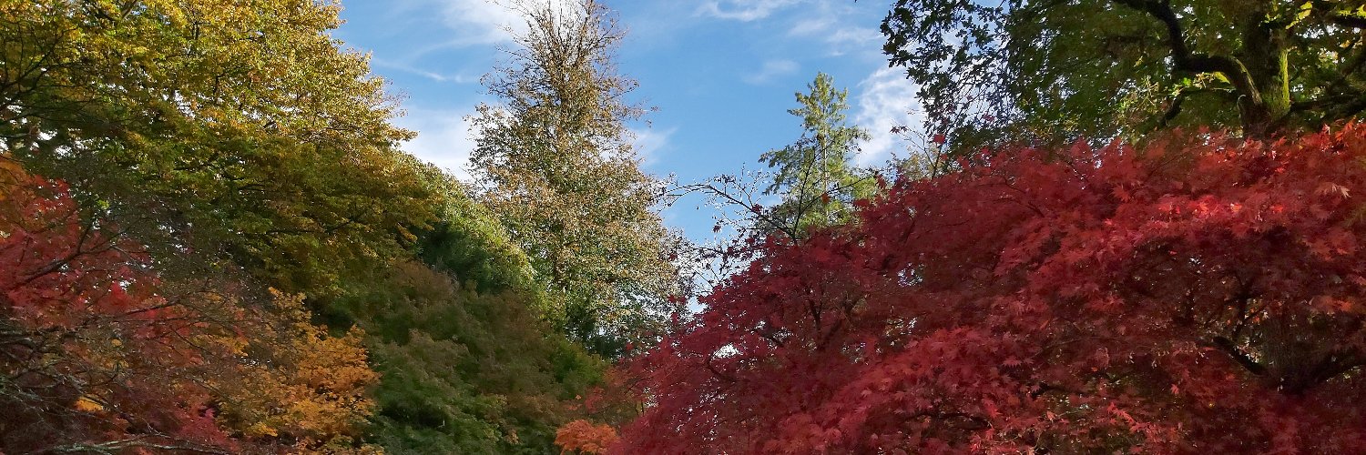 Sean (ショーン) banner