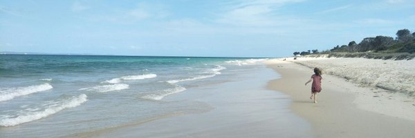 willismurray_ Profile Banner