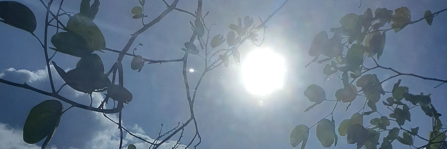 Jillyciouss's profile banner image