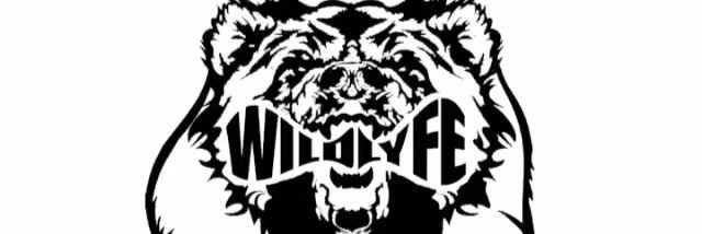 WL_Fey's profile banner image