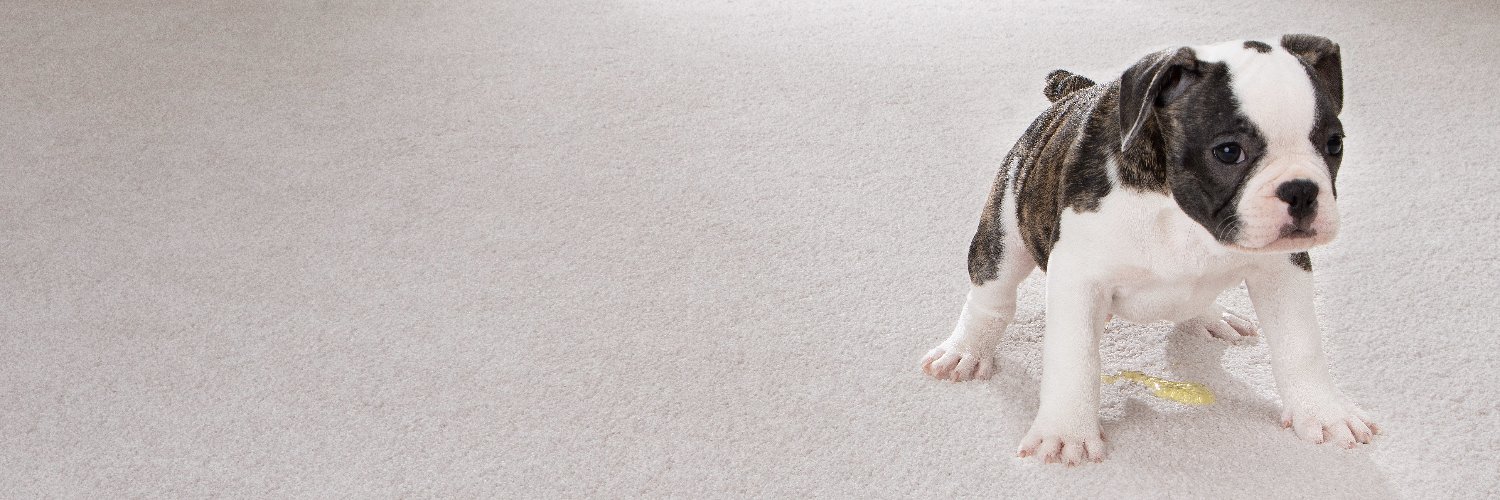 Mohawk Flooring banner