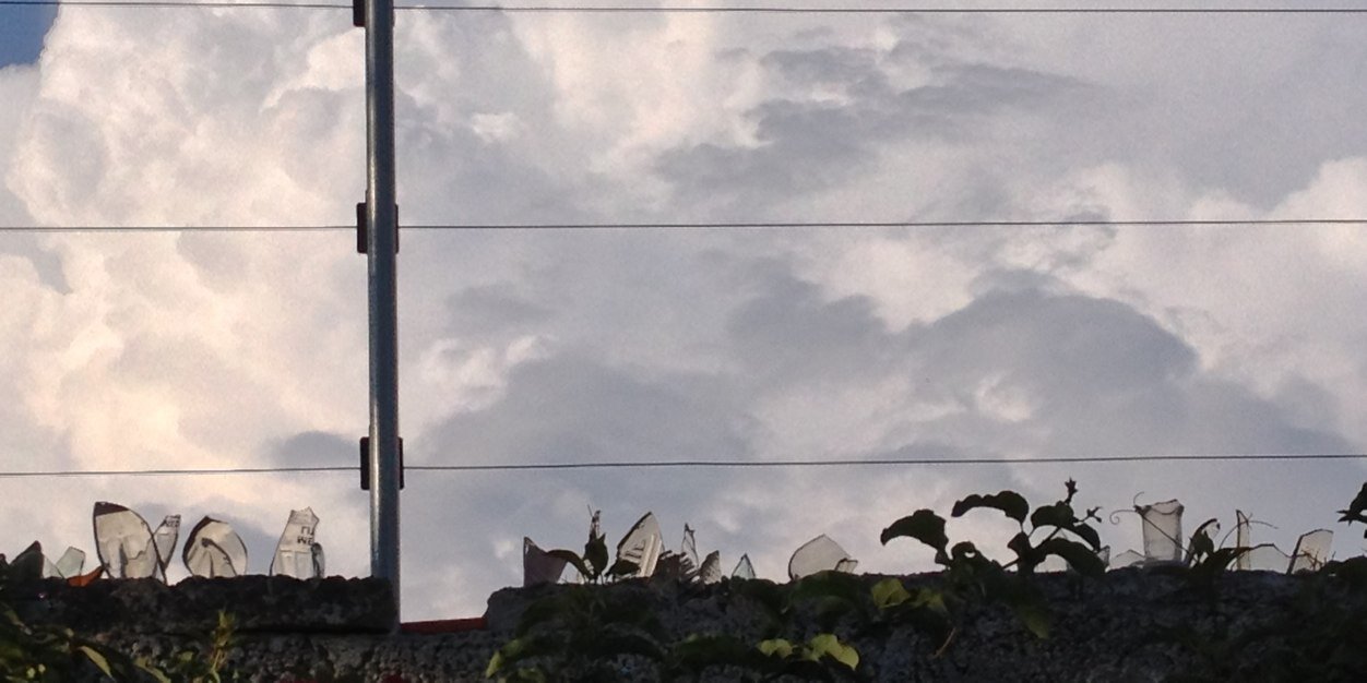 totemytabu's profile banner image