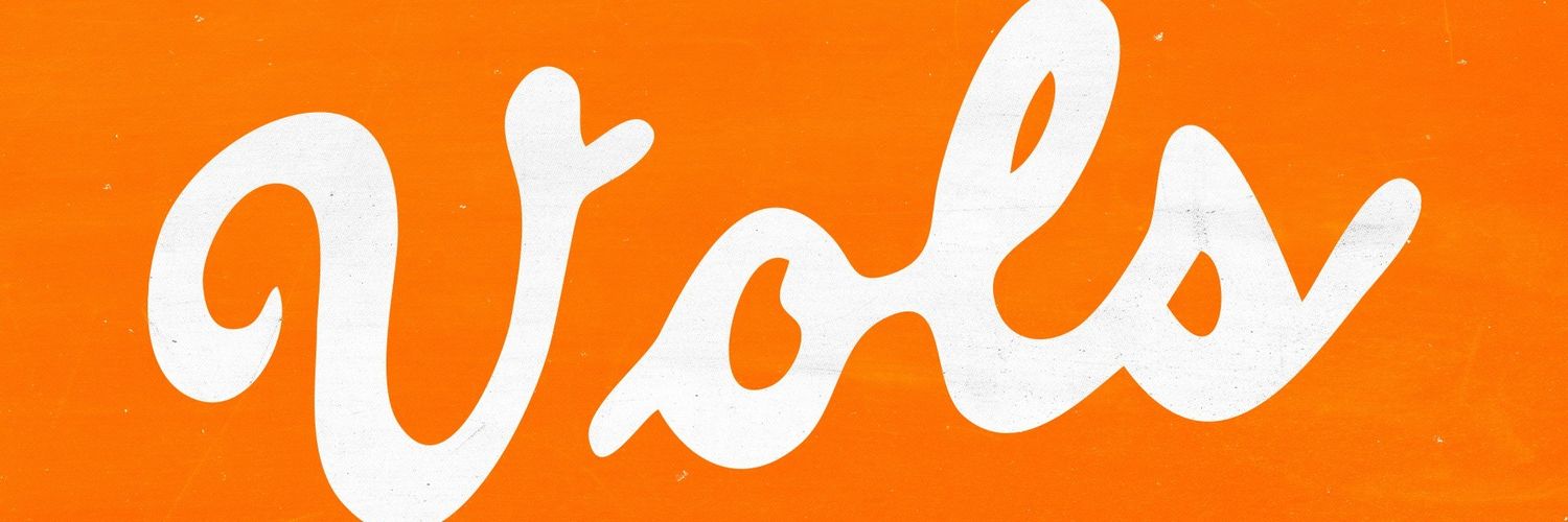 ginger_Vol's profile banner image
