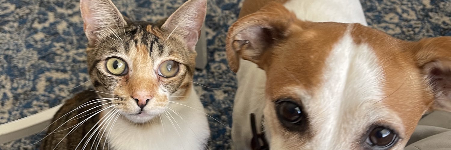 MeganKMaxey's profile banner image