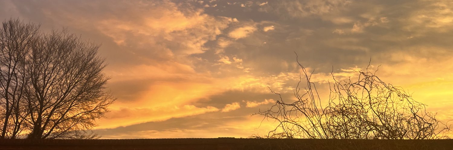 Niceytee's profile banner image