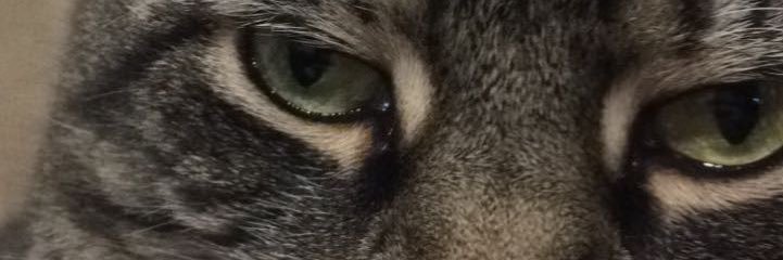 51hurthelms's profile banner image