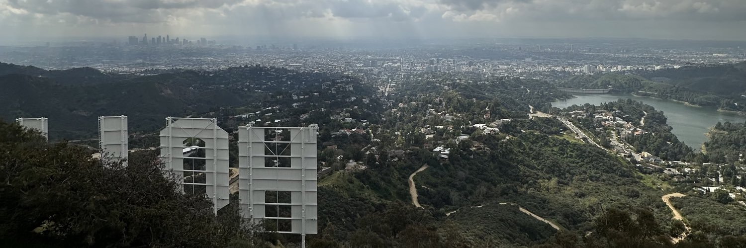 Annlee Ellingson banner