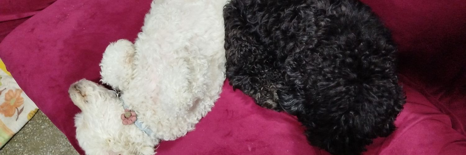 Fabiacz's profile banner image