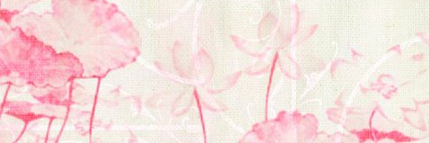 Yuriko Oshima 🐈 banner