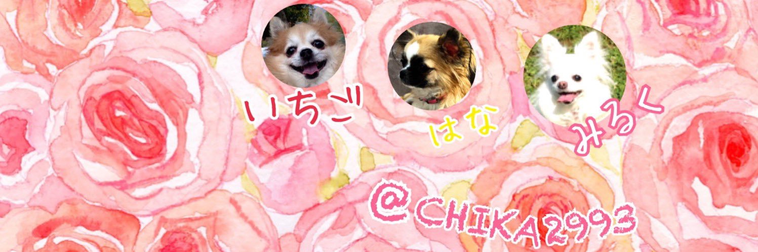 CHIKA2993's profile banner image