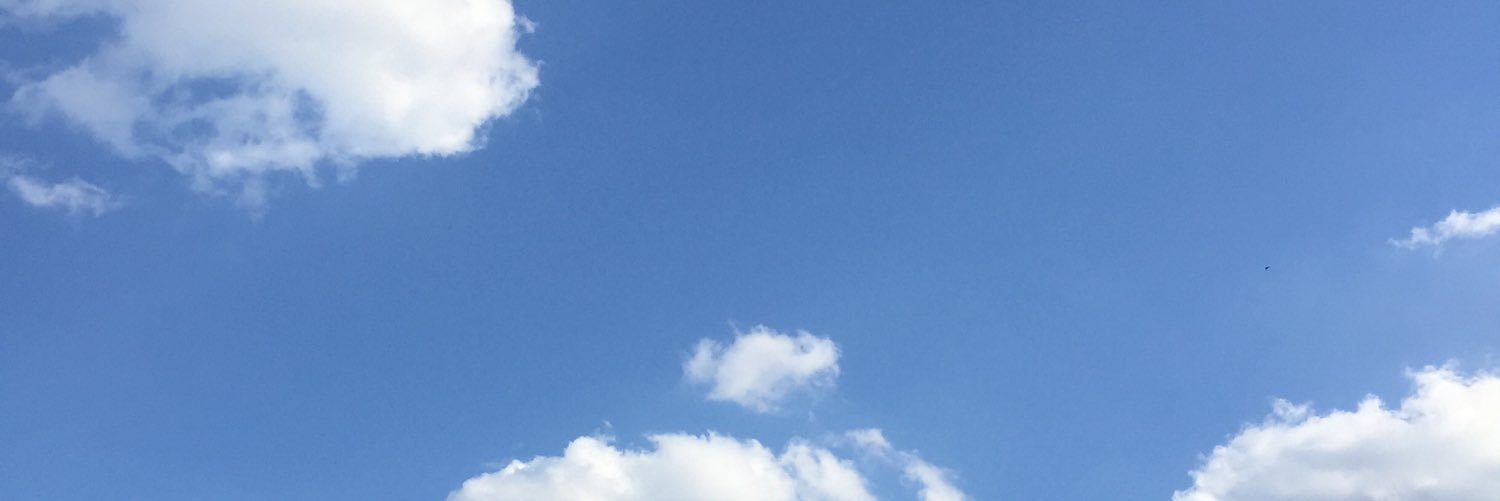 twinkle_jung's profile banner image