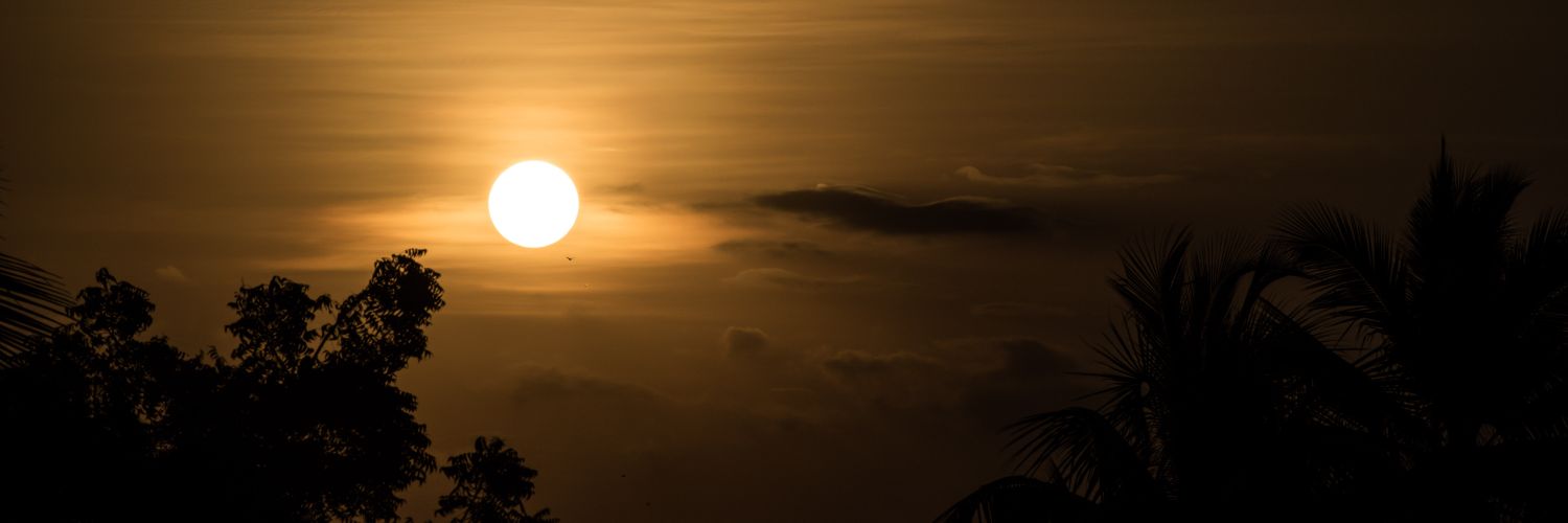 imgpm139's profile banner image