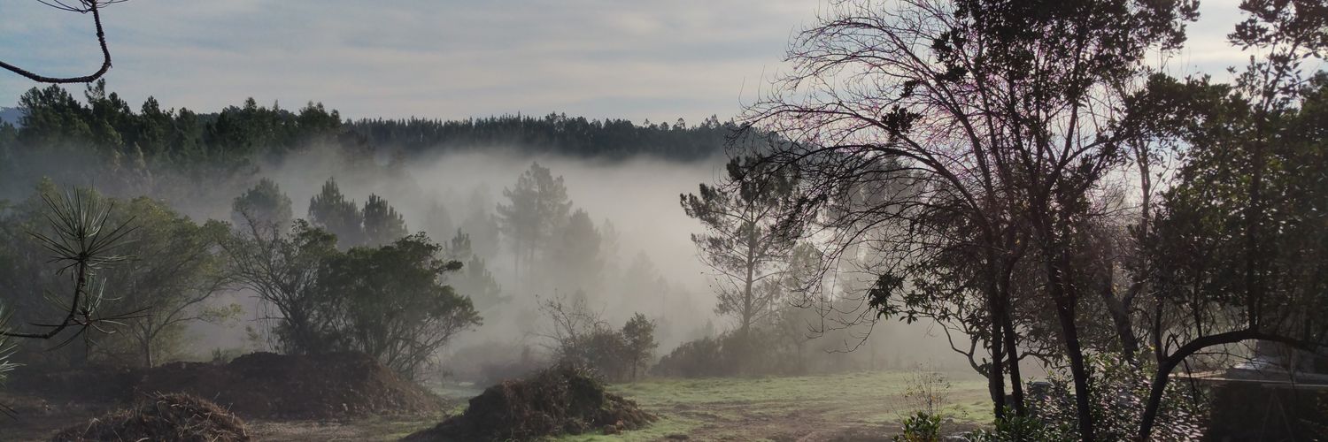 TheRealMoaner's profile banner image