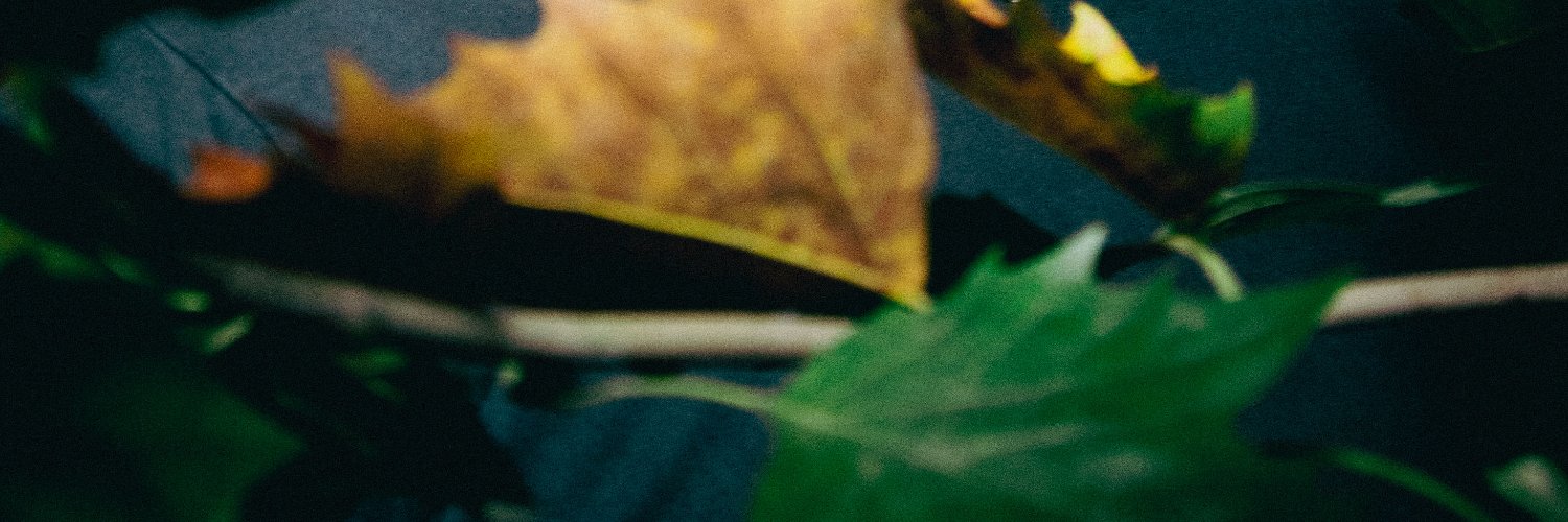 koshman5g's profile banner image