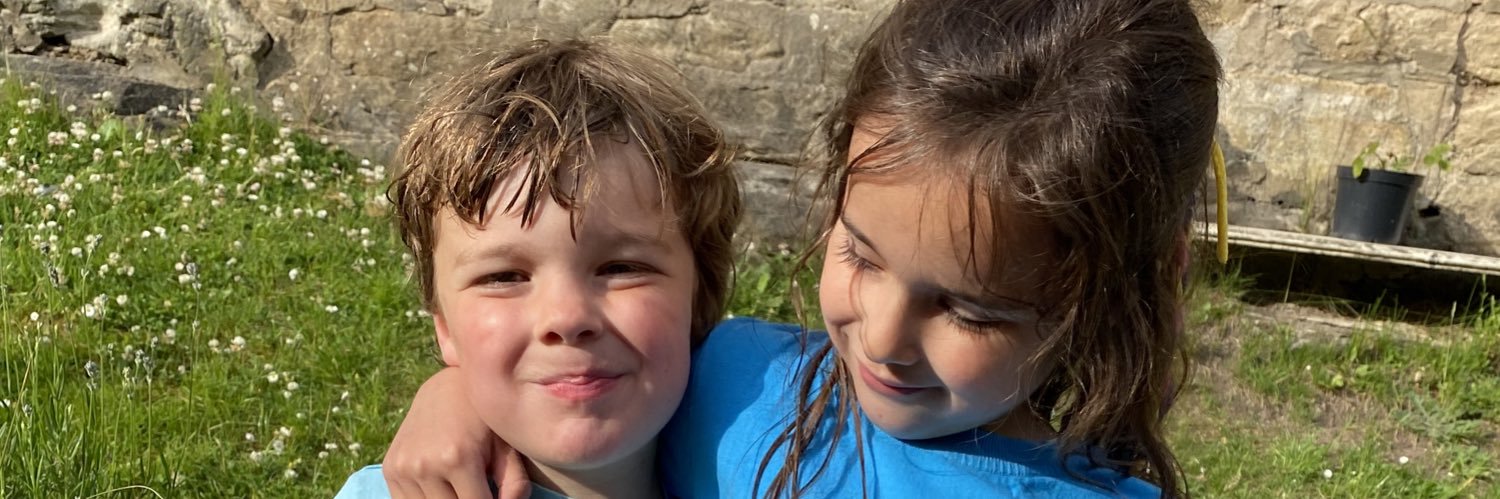 Abigail Stein banner