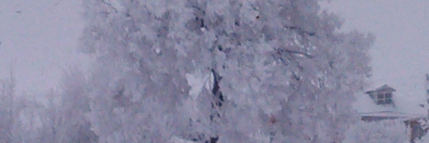 petrovcheb's profile banner image