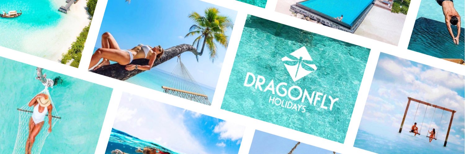 Dragonfly Holidays banner