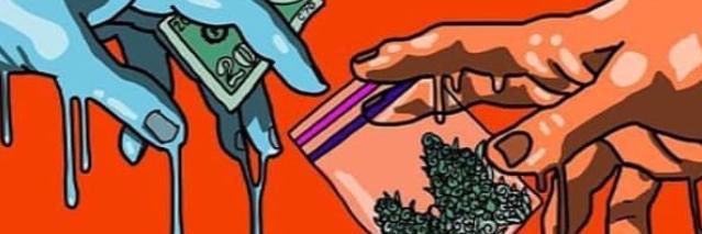 beergamota's profile banner image
